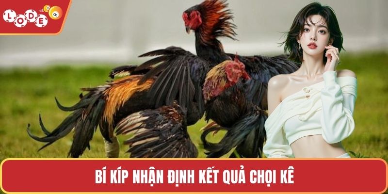 Bí kíp nhận định kết quả chọi kê