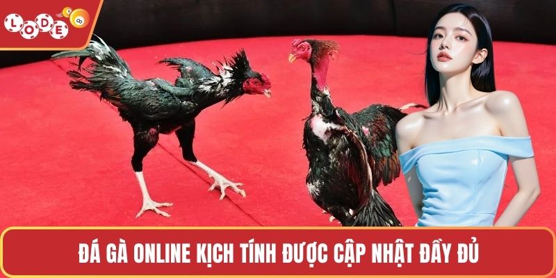 Đá gà online kịch tính được cập nhật đầy đủ